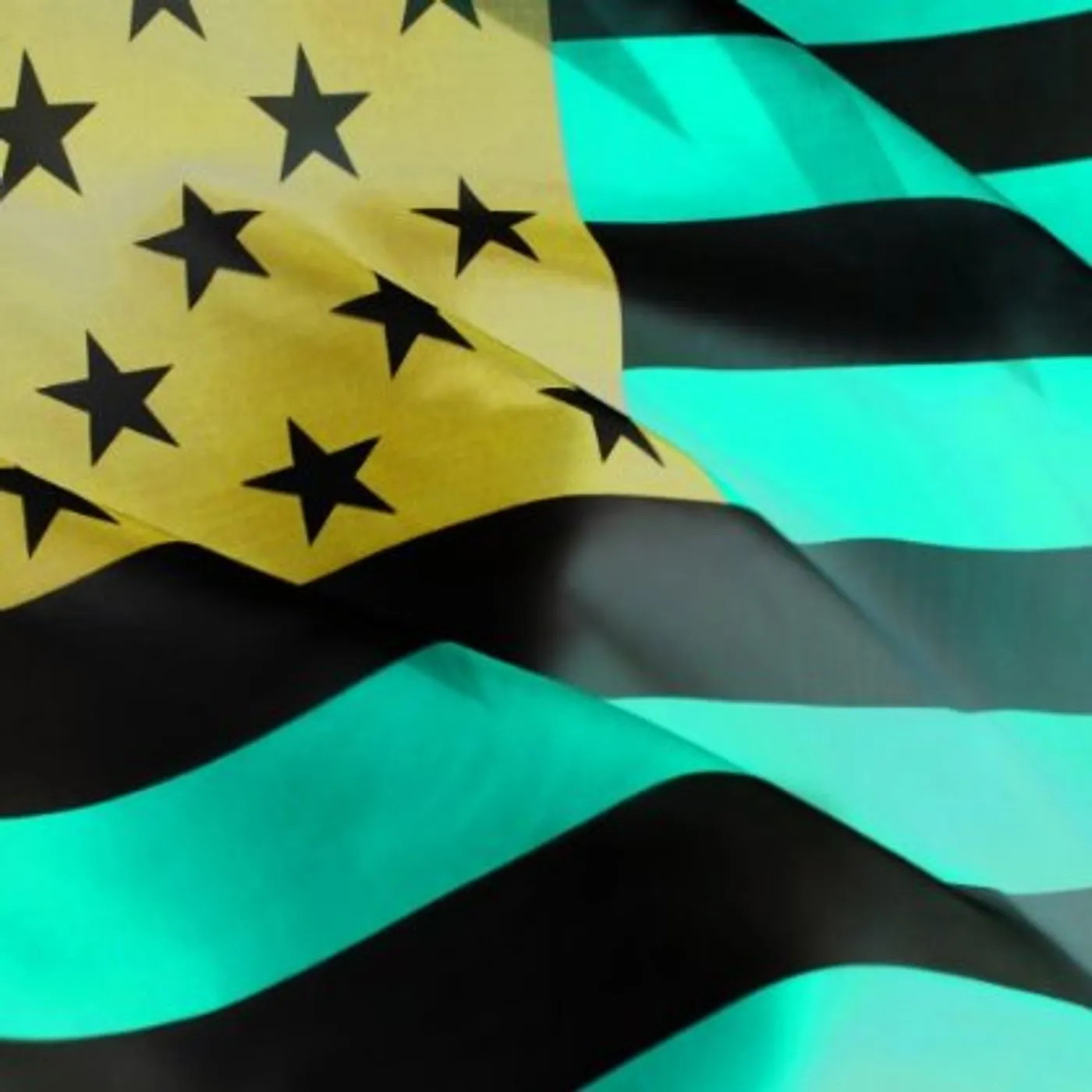 Happy Jawbone Family Band Vinyl Record