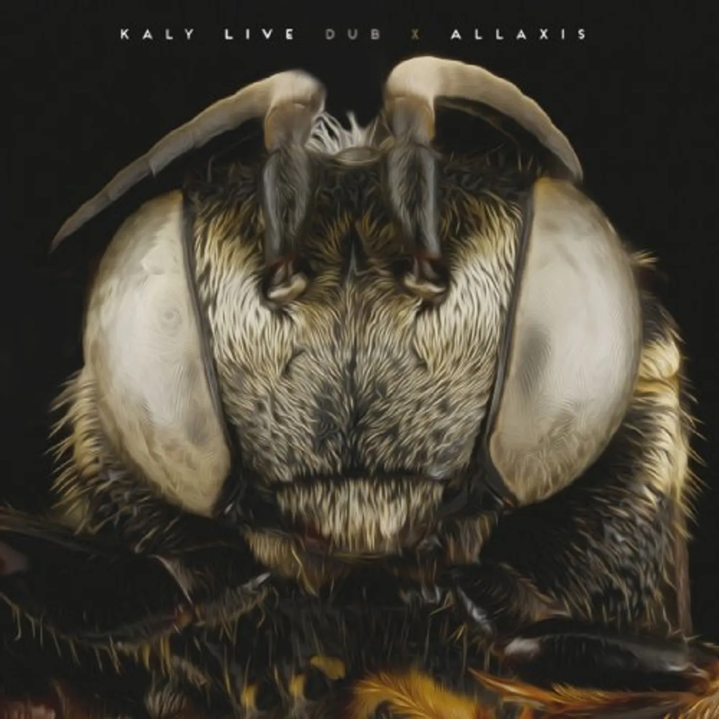 Kaly Live Dub Allaxis Vinyl Record