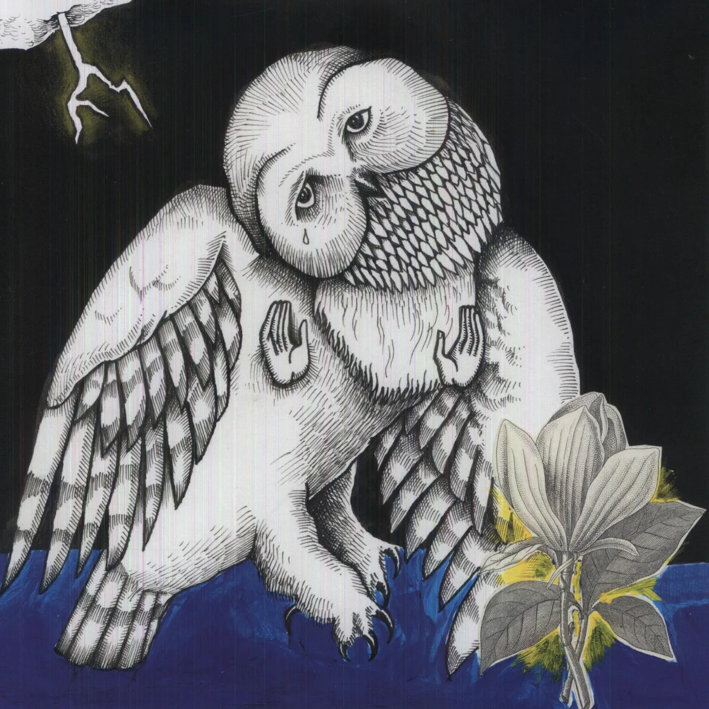 Songs: Ohia MAGNOLIA ELECTRIC COMPANY CO Vinyl Record