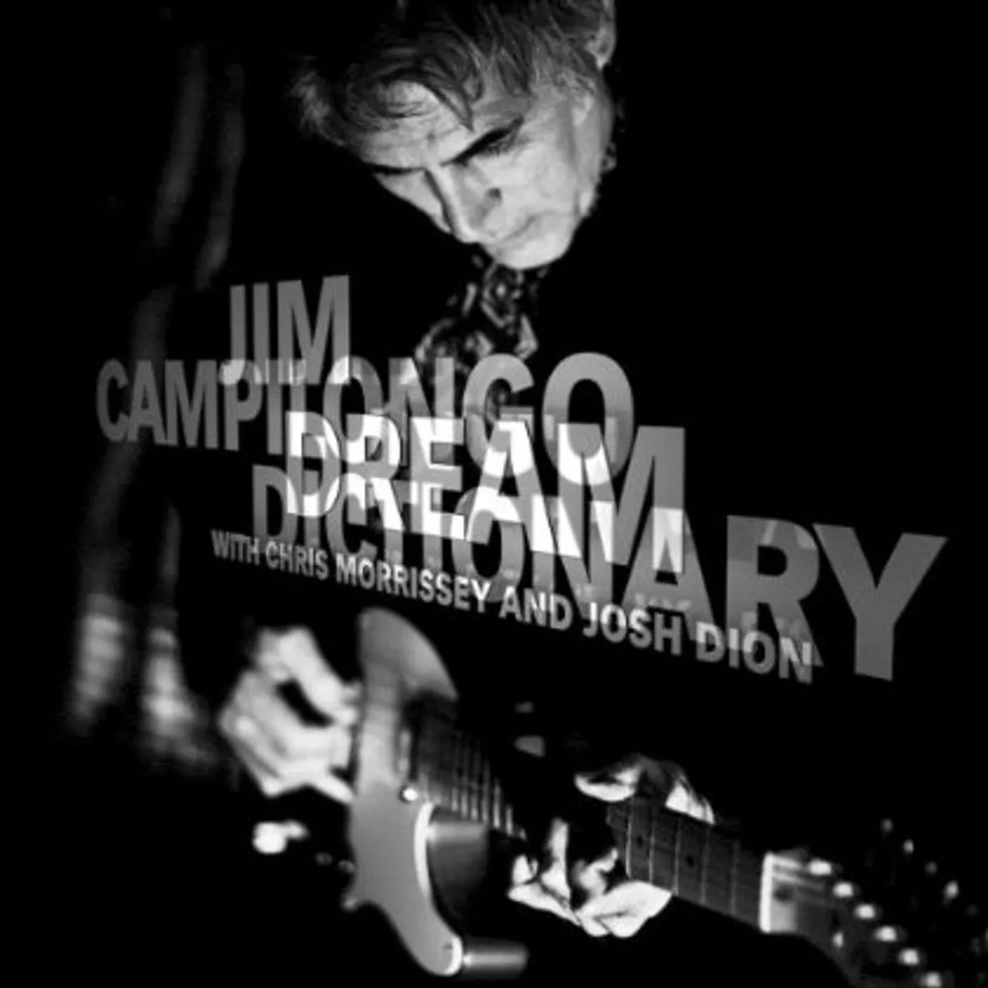 Jim Campilongo DREAM DICTIONARY CD