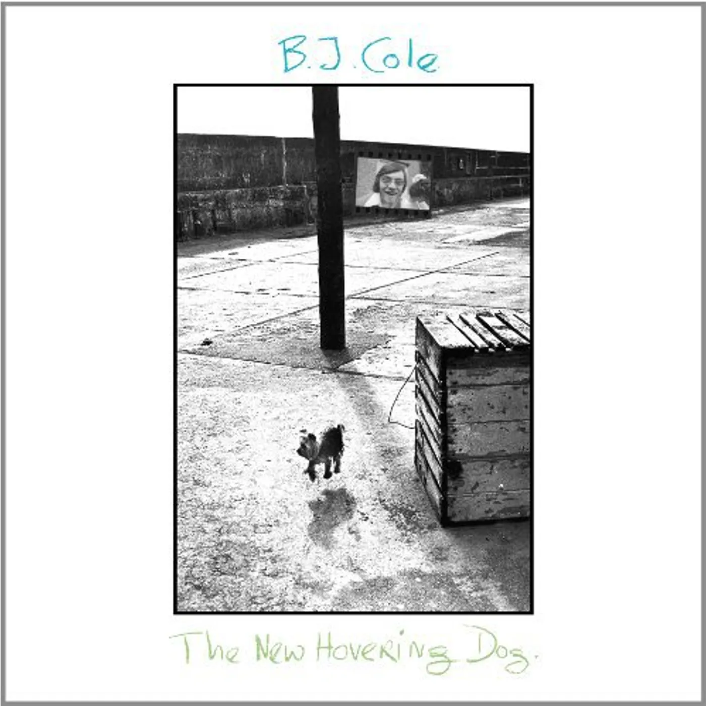 BJ Cole NEW HOVERING DOG Vinyl Record