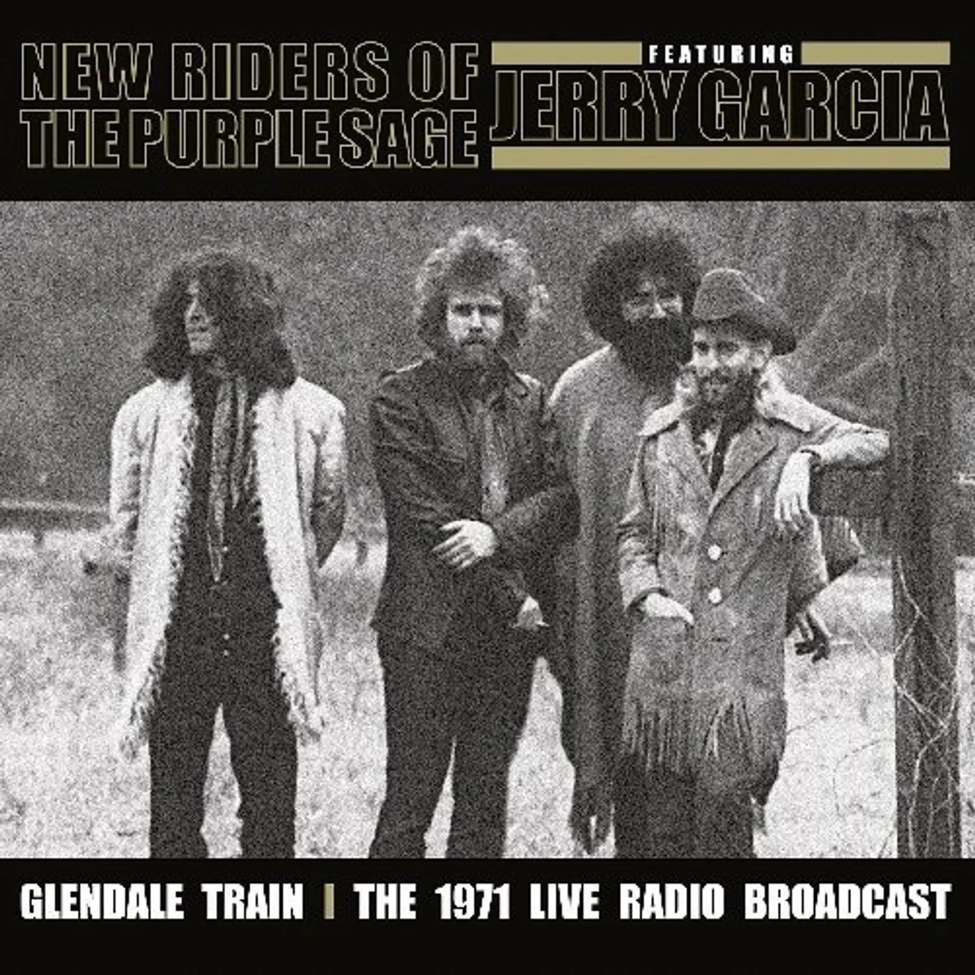 New Riders of the Purple Sage GLENDALE TRAIN (Vinyl)