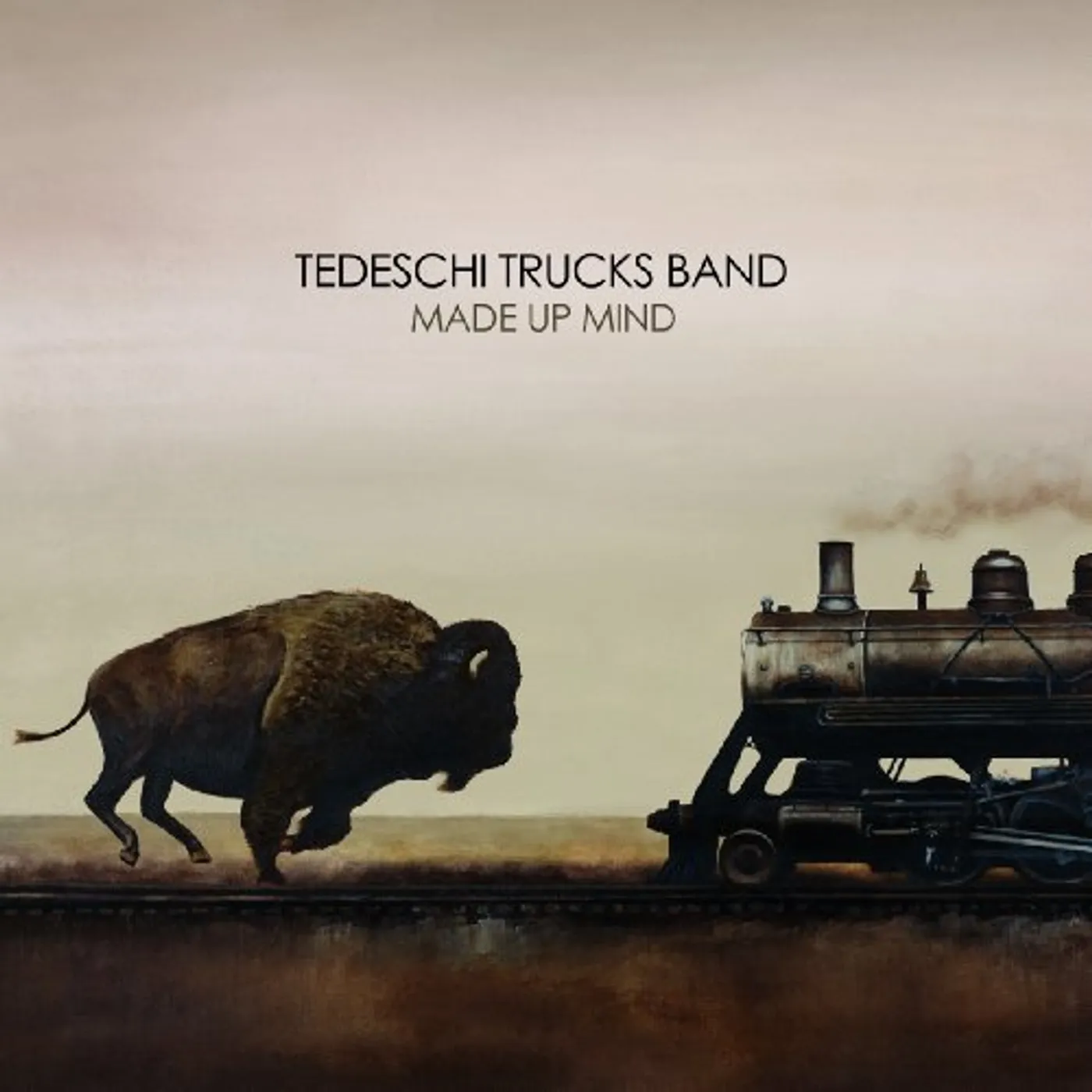 Tedeschi Trucks Band MADE UP MIND (180G) Vinyl Record