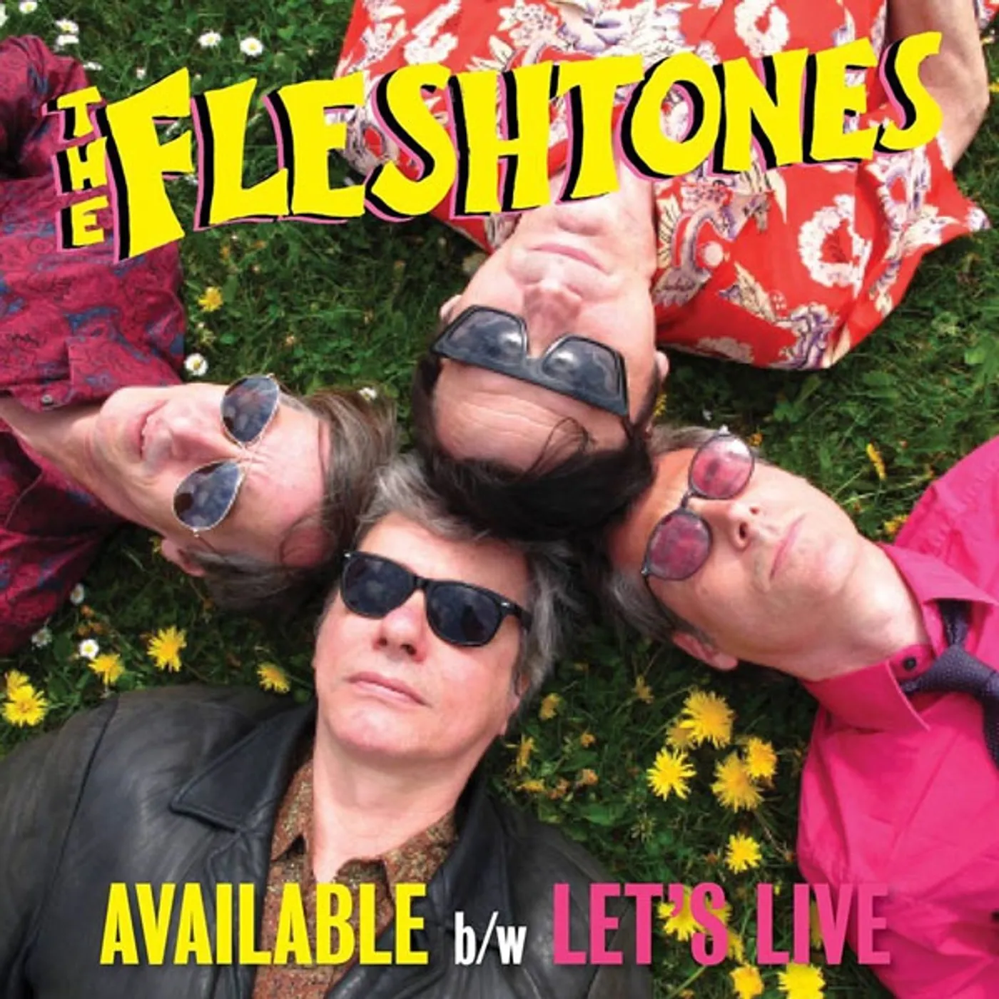 The Fleshtones AVAILABLE Vinyl Record