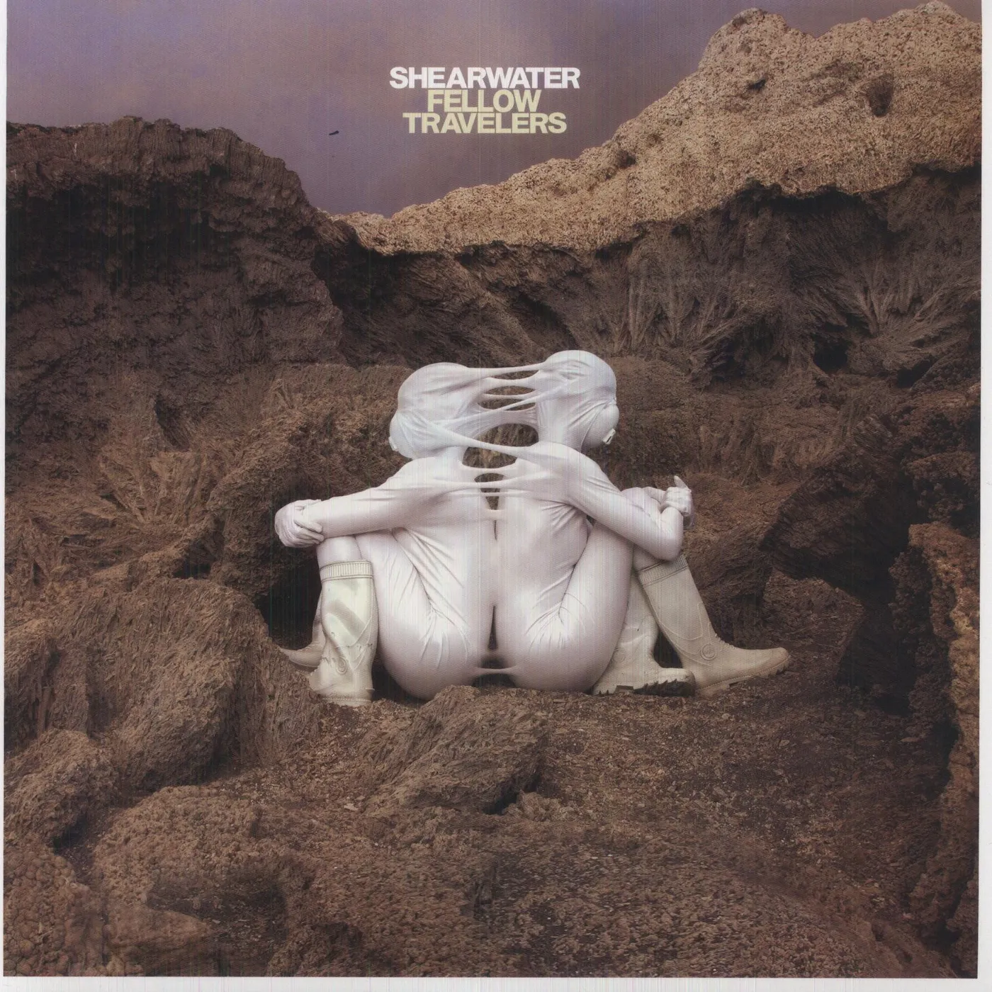 Shearwater Fellow Travelers Vinyl Record