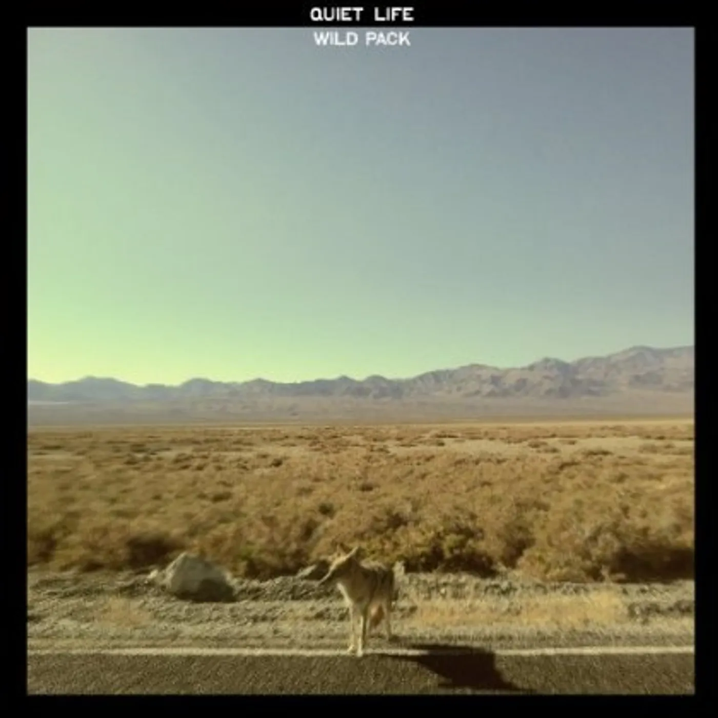 Quiet Life WILD PACKS CD