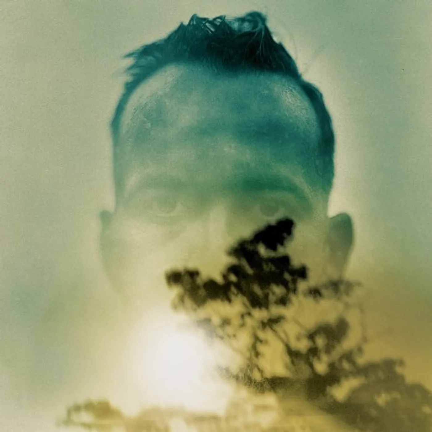 Duquette Johnston Rabbit Runs a Destiny Vinyl Record