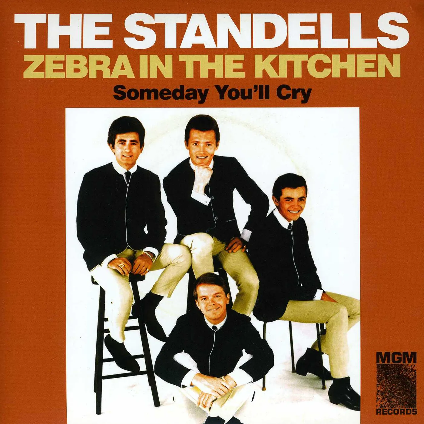 The Standells ZEBRA IN THE KITCHEN / SOMEDAY YOU'LL CRY Vinyl Record
