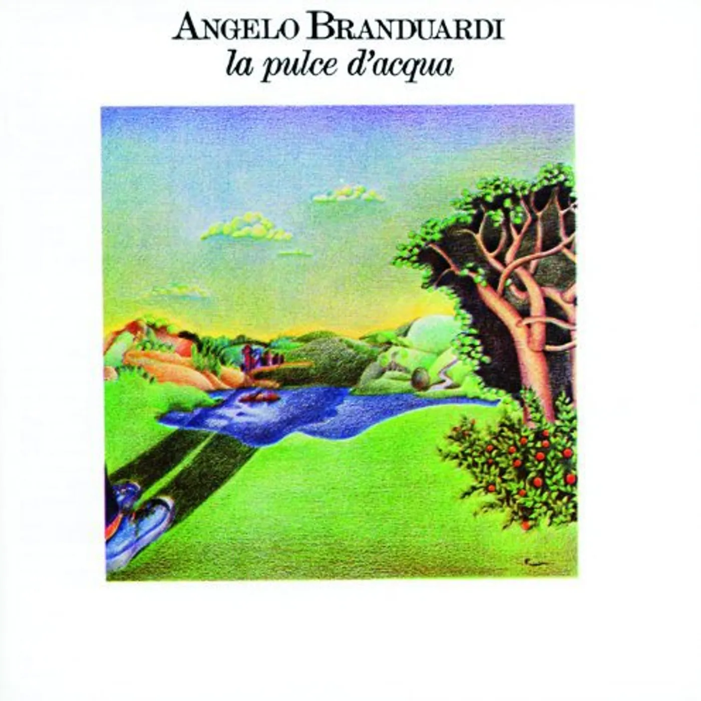 Angelo Branduardi La Pulce D'Acqua Vinyl Record