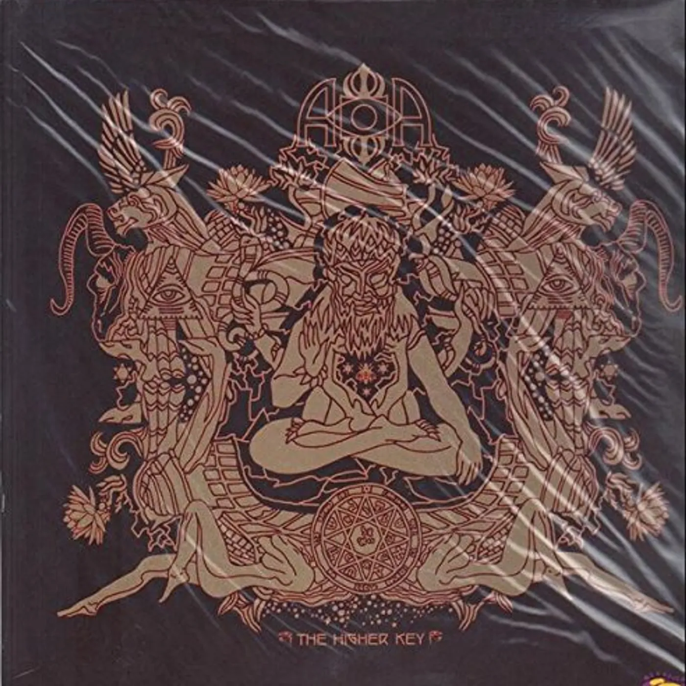 Arc of Ascent HIGHER KEY Vinyl Record