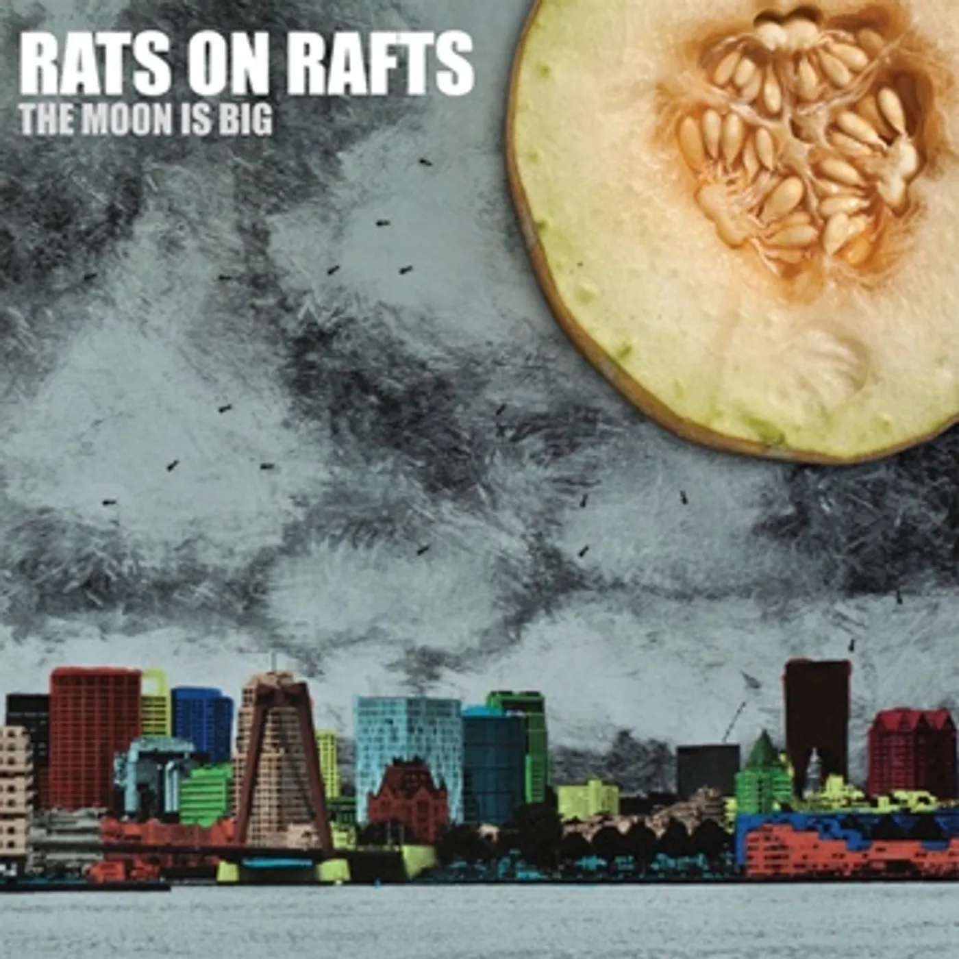 Rats On Rafts MOON IS BIG Vinyl Record
