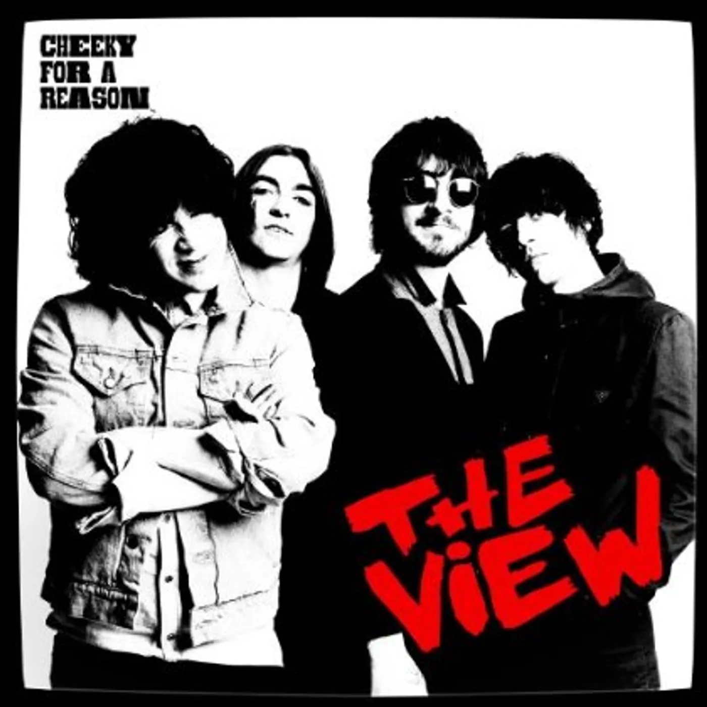 The View CHEEKY FOR A REASON (UK) (Vinyl)