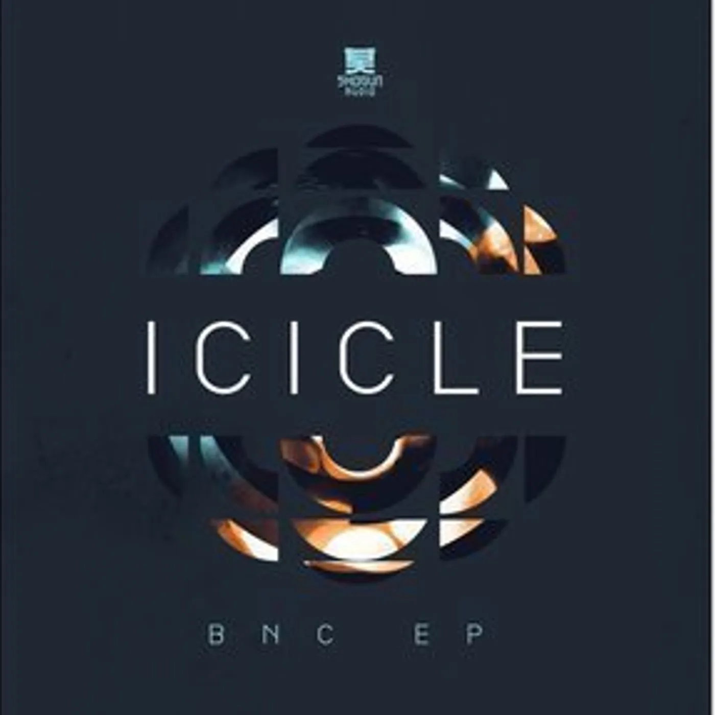 Icicle BNC EP Vinyl Record