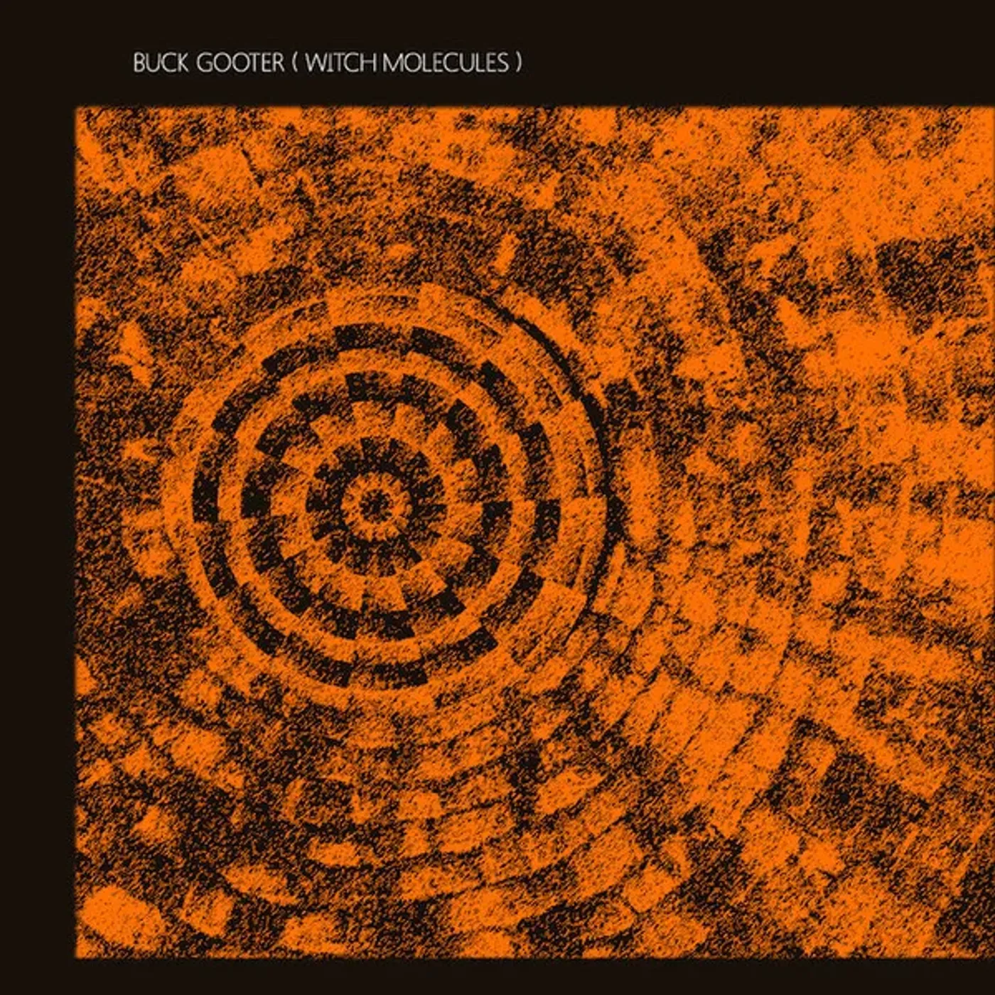 Buck Gooter WITCH MOLECULES Vinyl Record