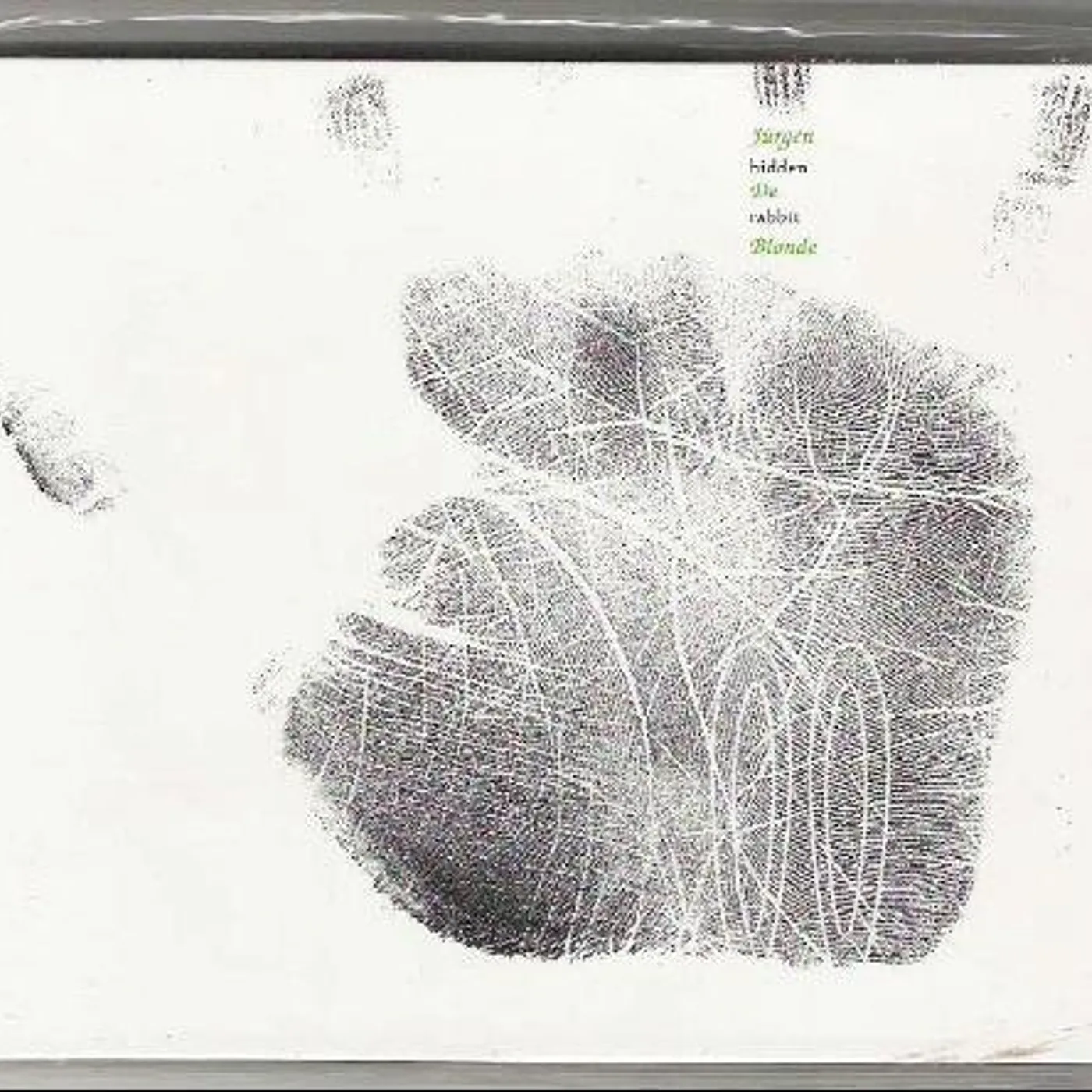 The Curtains ALPHABET SERIES N Vinyl Record