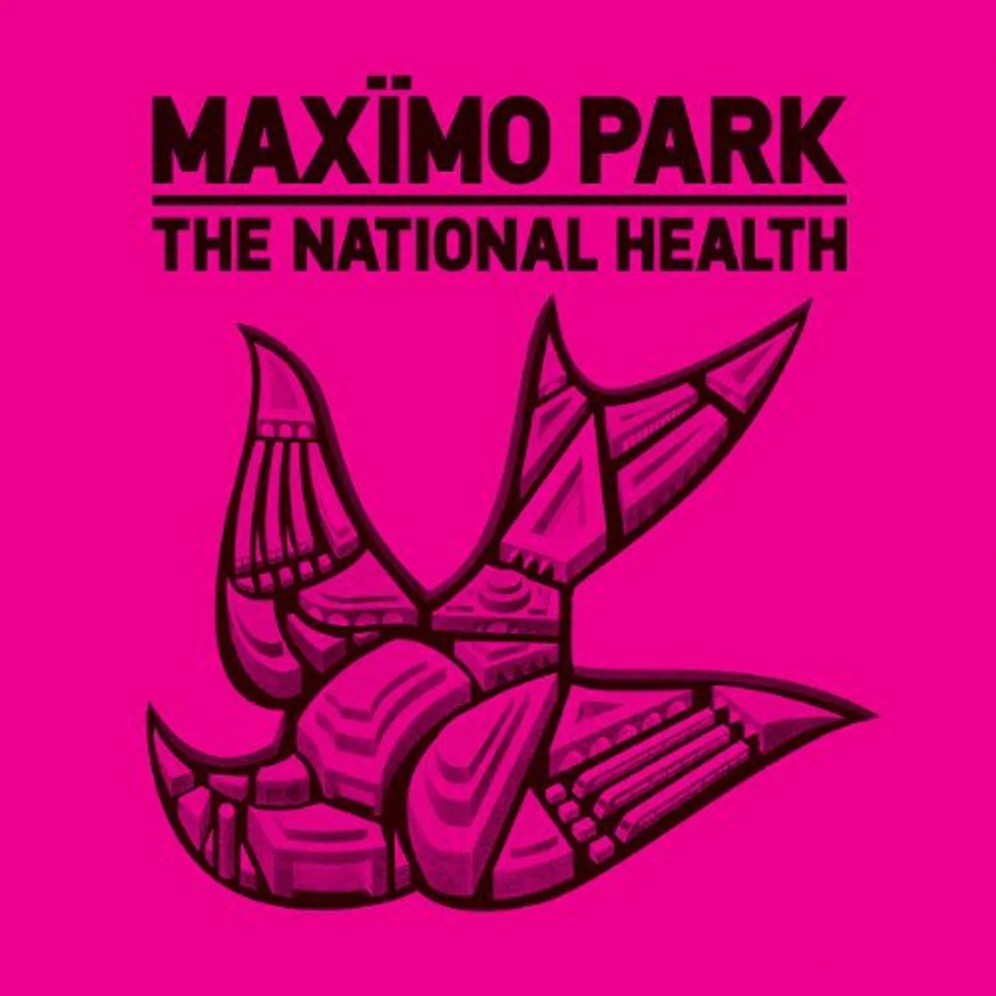 Maximo Park NATIONAL HEALTH Vinyl Record