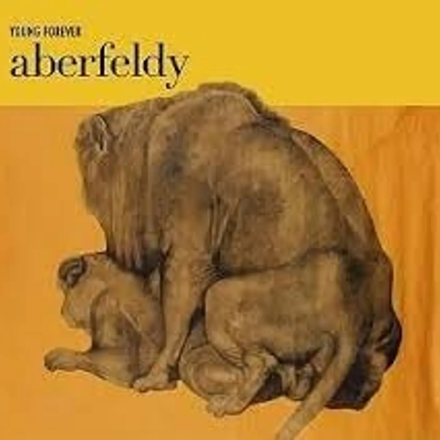 Aberfeldy YOUNG FOREVER CD