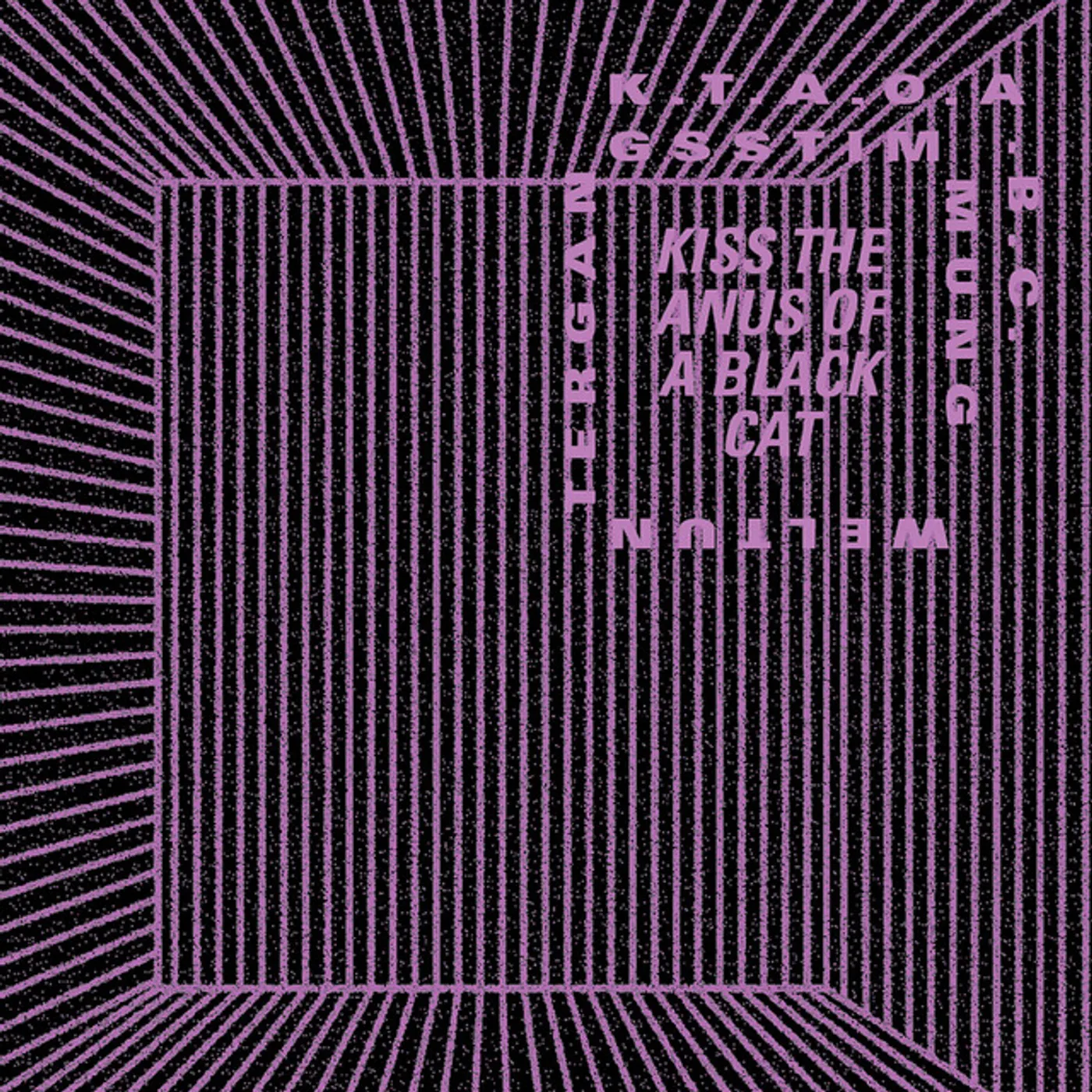 kiss the anus of a black cat WELTINTERGANGSSTIMMUNG Vinyl Record