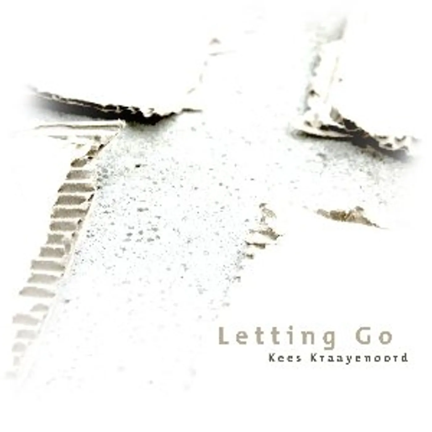 Kees Kraayenoord LETTING GO CD