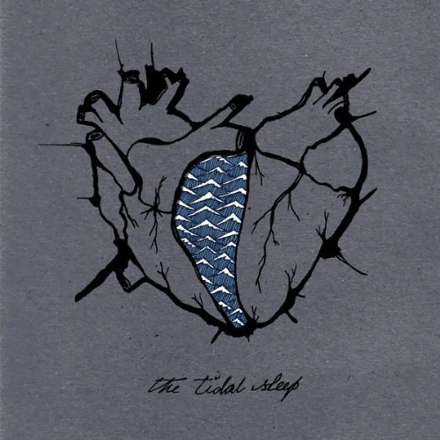 The Tidal Sleep Vinyl Record