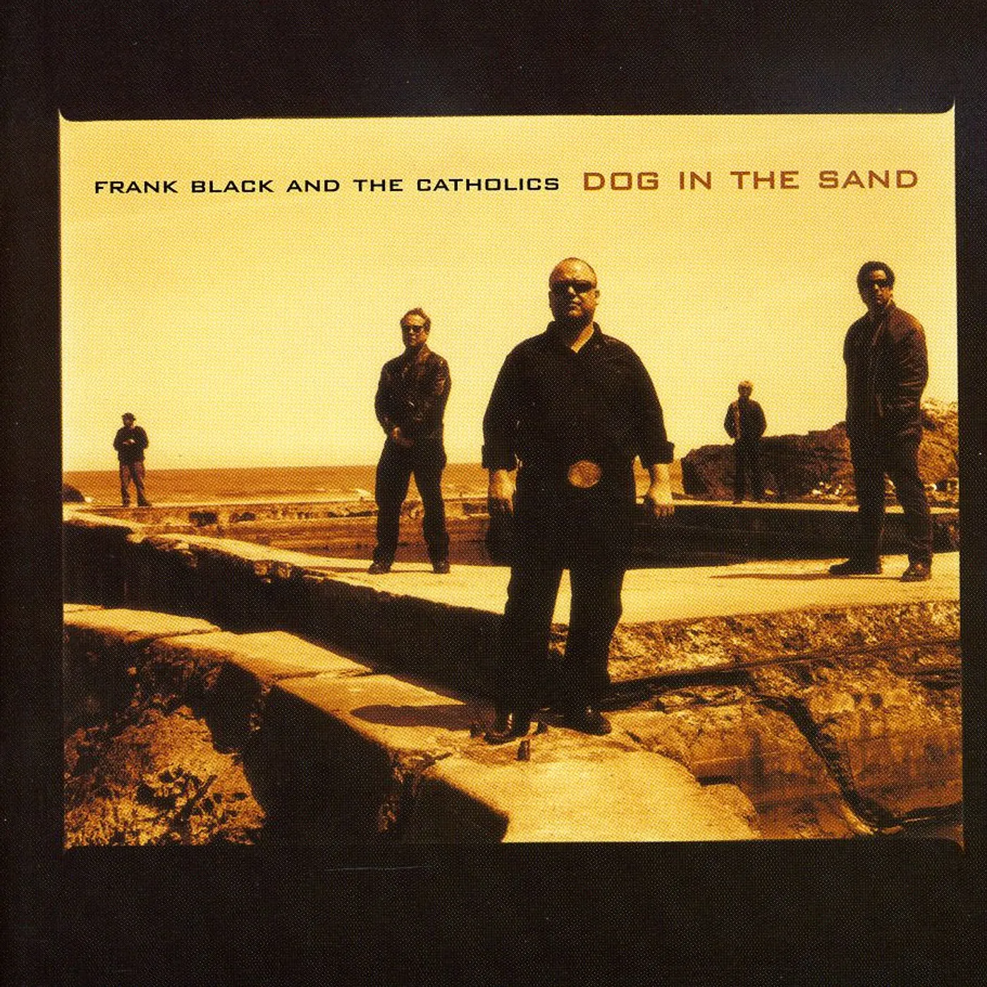 Frank Black & The Catholics DOG IN THE SAND CD