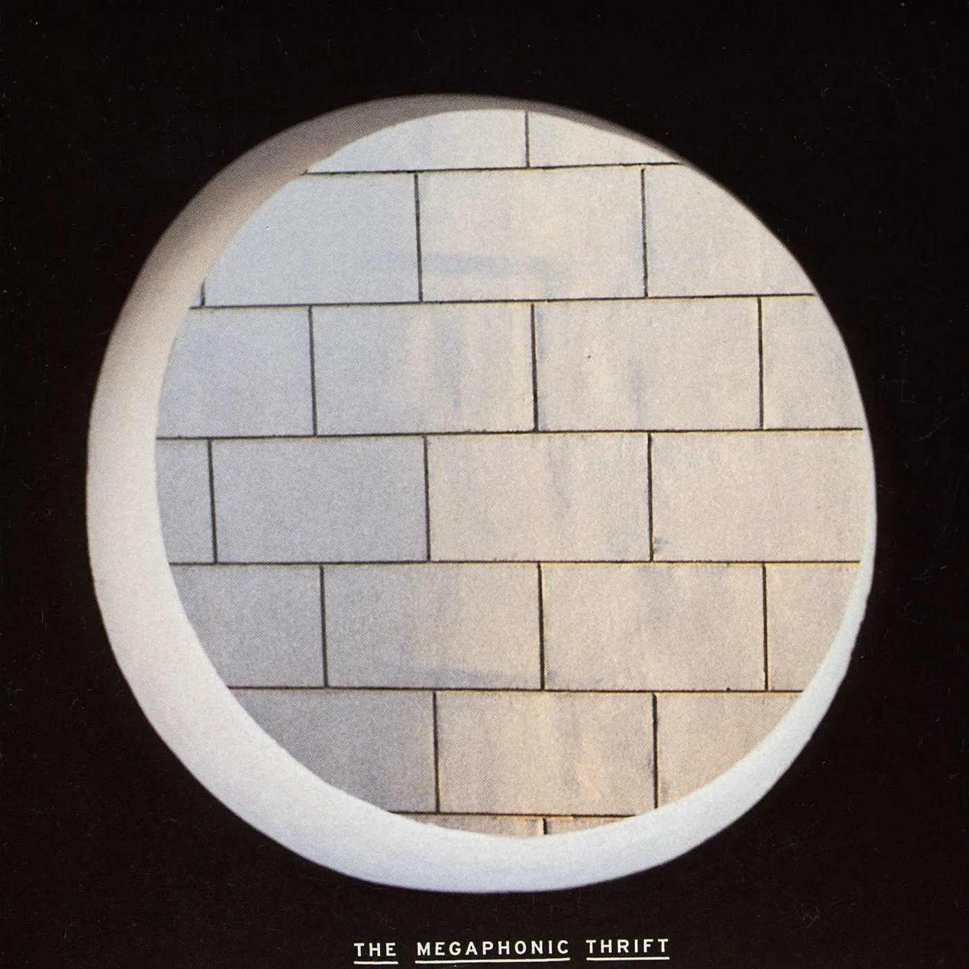 The Megaphonic Thrift Moonstruck Vinyl Record