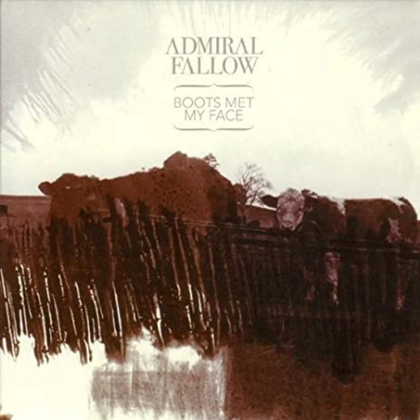 Admiral Fallow BOOTS MET MY FACE (LIMITED EDITION) (GER) Vinyl Record