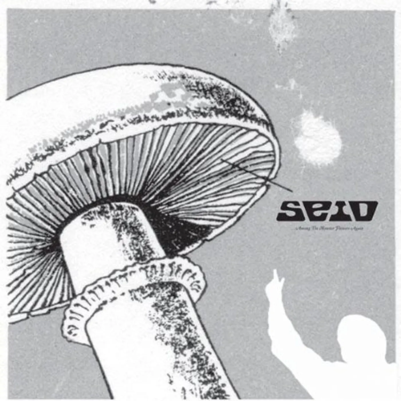 Seid AMONG THE MONSTER FLOW Vinyl Record