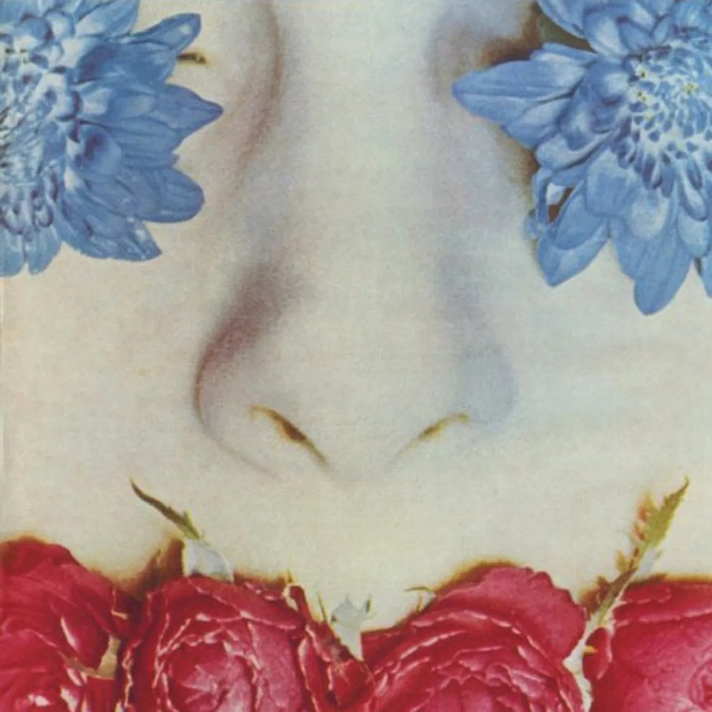 SULK Graceless Vinyl Record