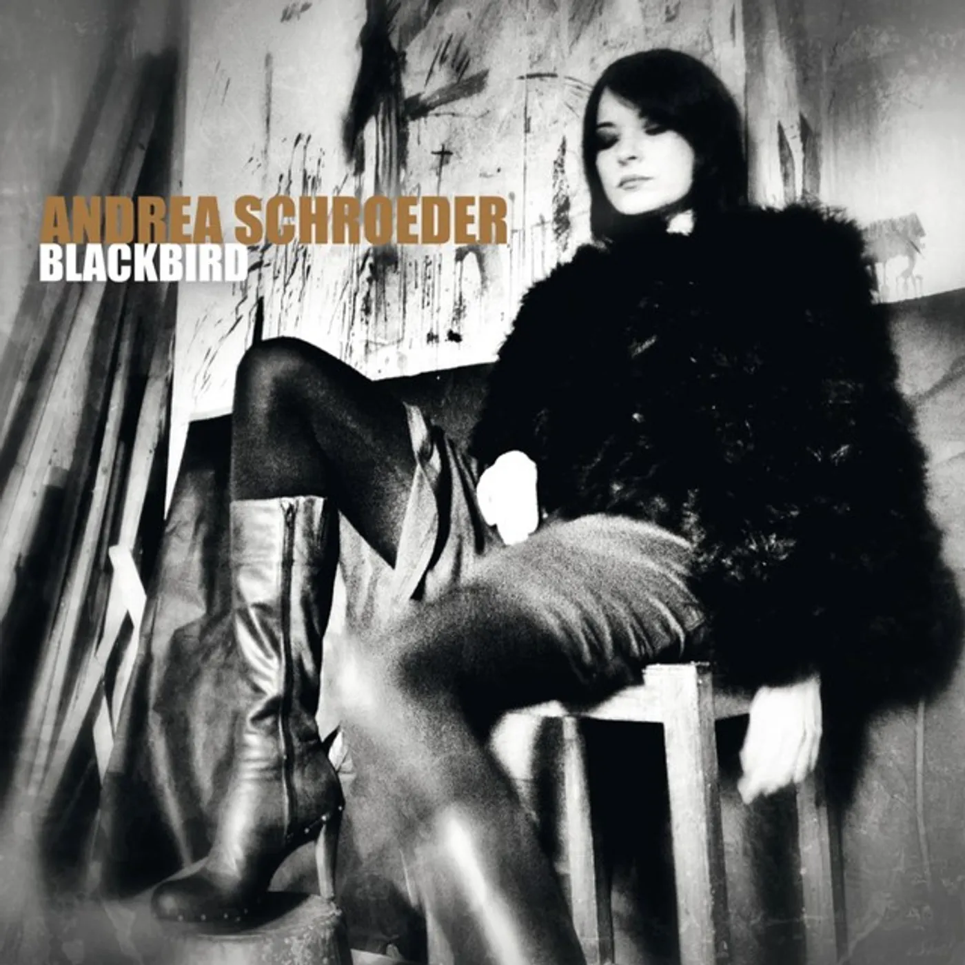 Andrea Schroeder Blackbird Vinyl Record