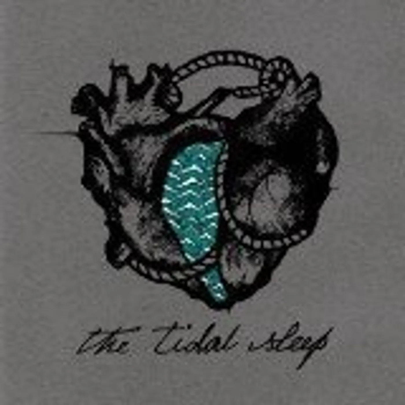 The Tidal Sleep Vinyl Record