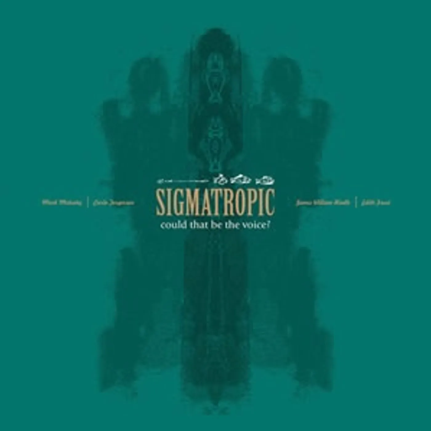 Sigmatropic COULD THAT BE THE VOICE Vinyl Record