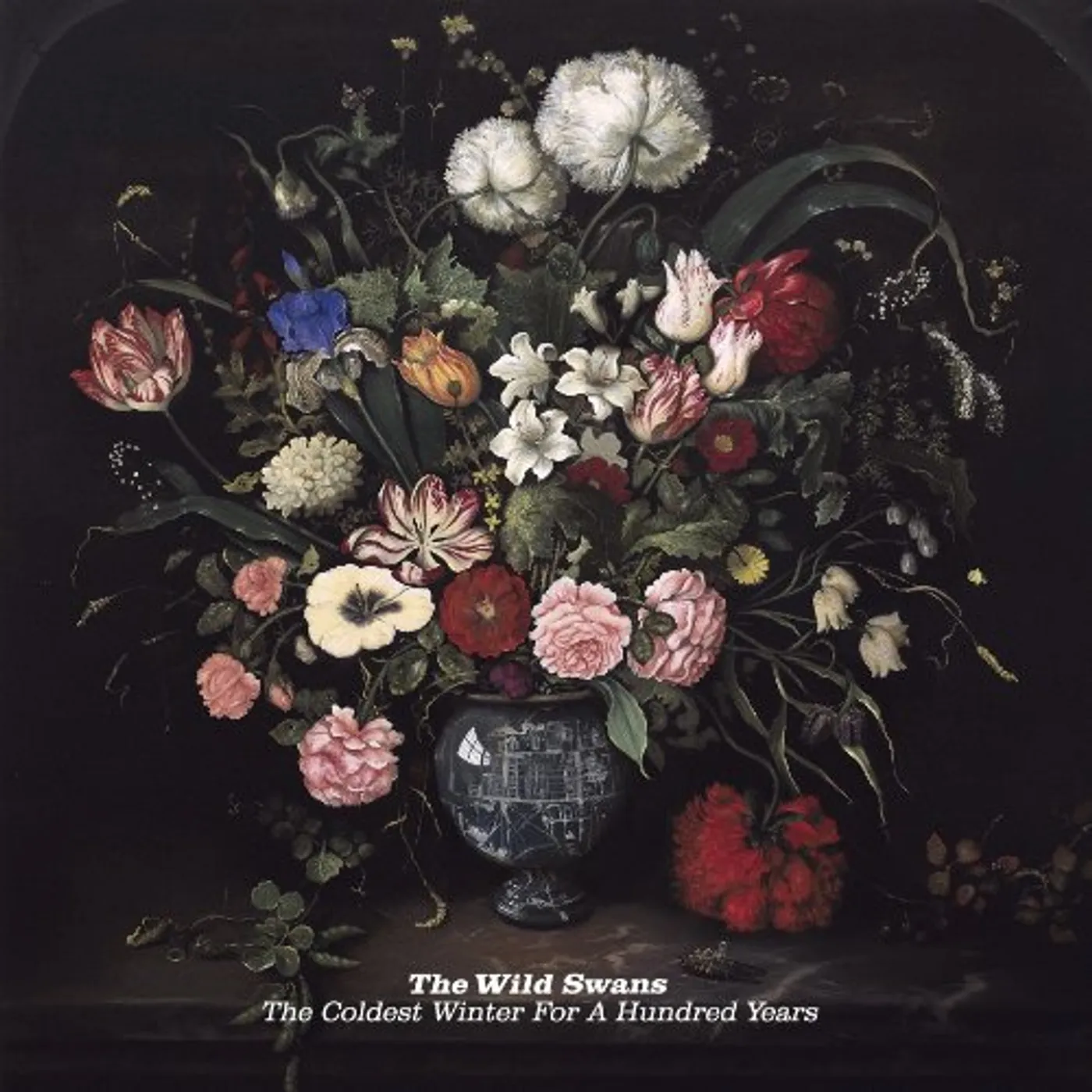 The Wild Swans COLDEST WINTER FOR A HUNDRED YEARS (DELUXE) Vinyl Record