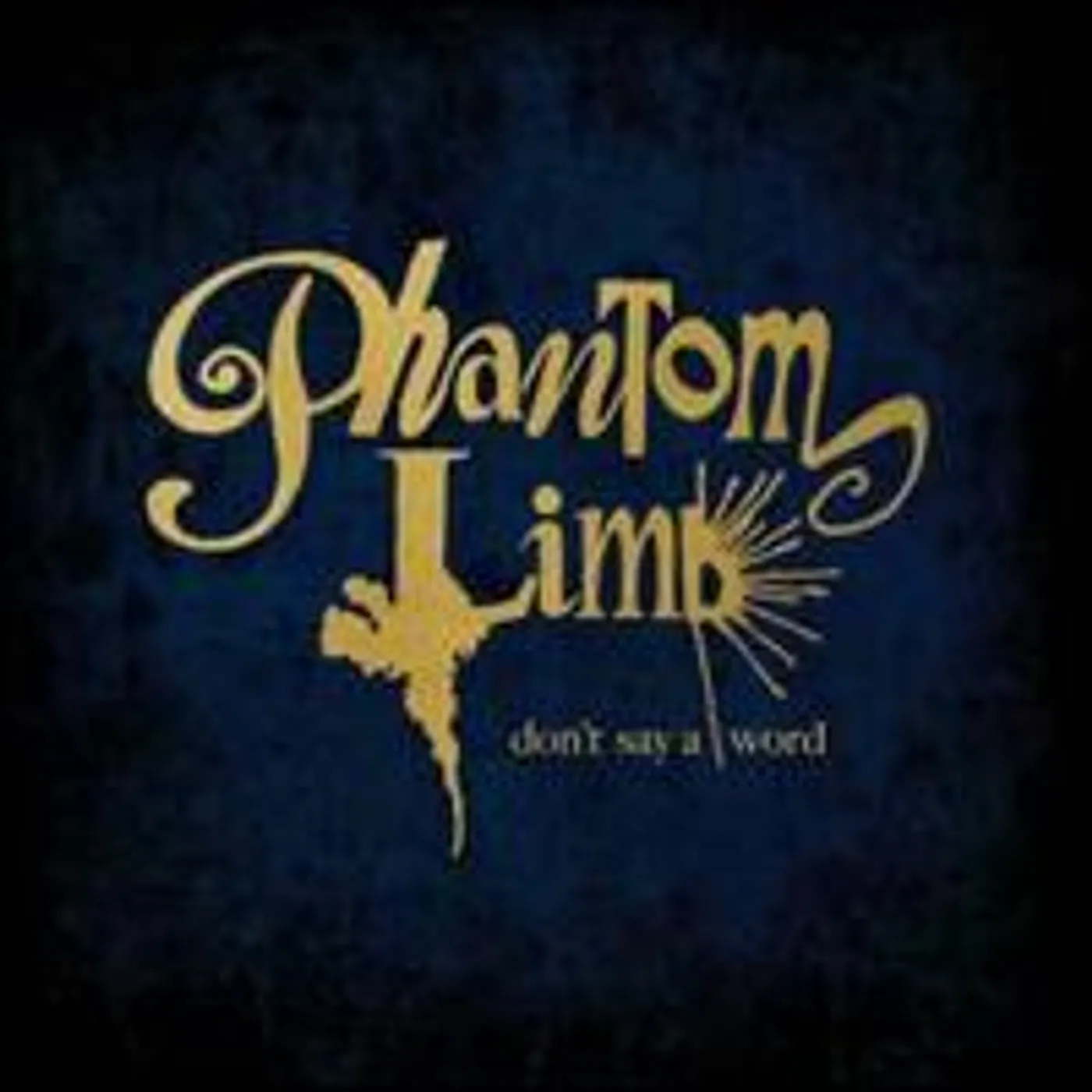 Phantom Limb Don't Say A Word Vinyl Record