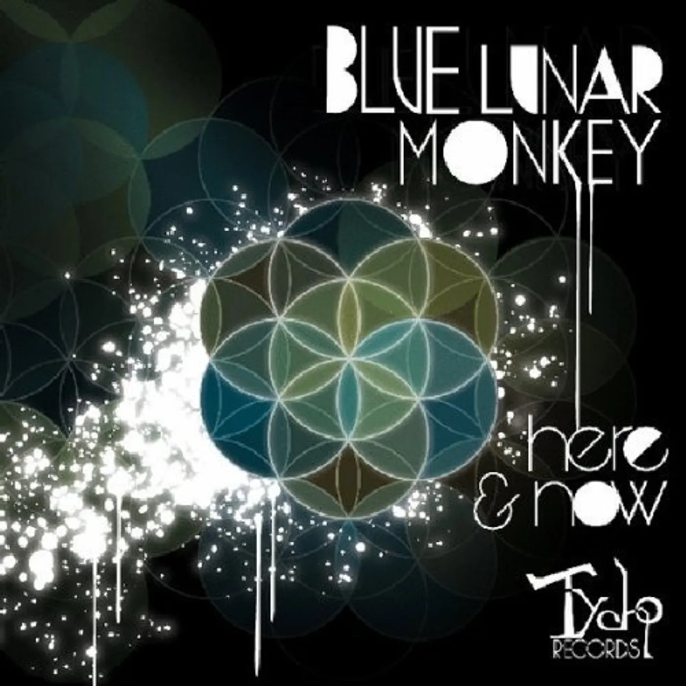 Blue Lunar Monkey HERE & NOW CD