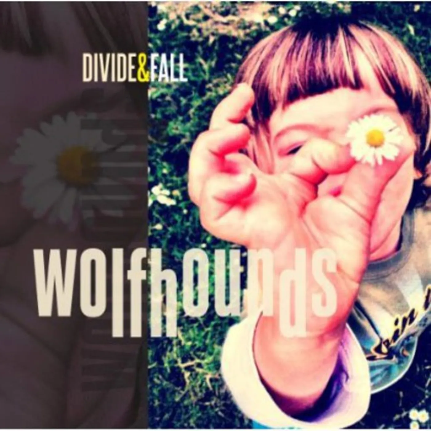 The Wolfhounds DIVIDE & FALL Vinyl Record