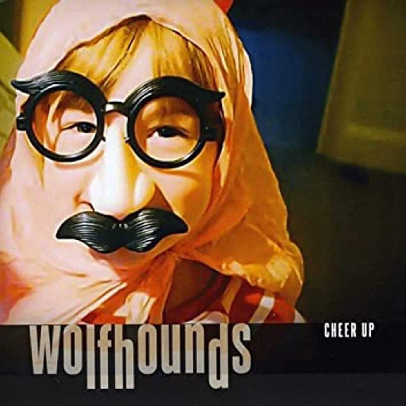 The Wolfhounds Cheer Up Vinyl Record