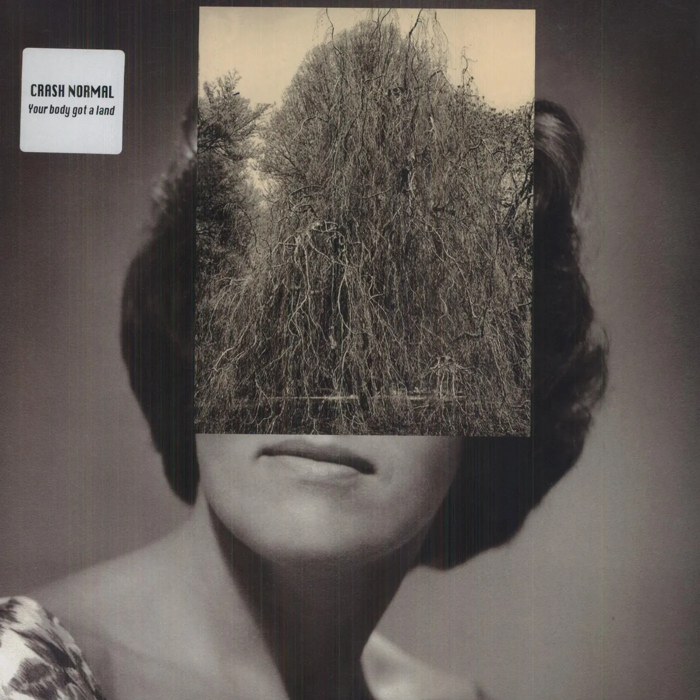 Crash Normal Your Body Got A Land Vinyl Record