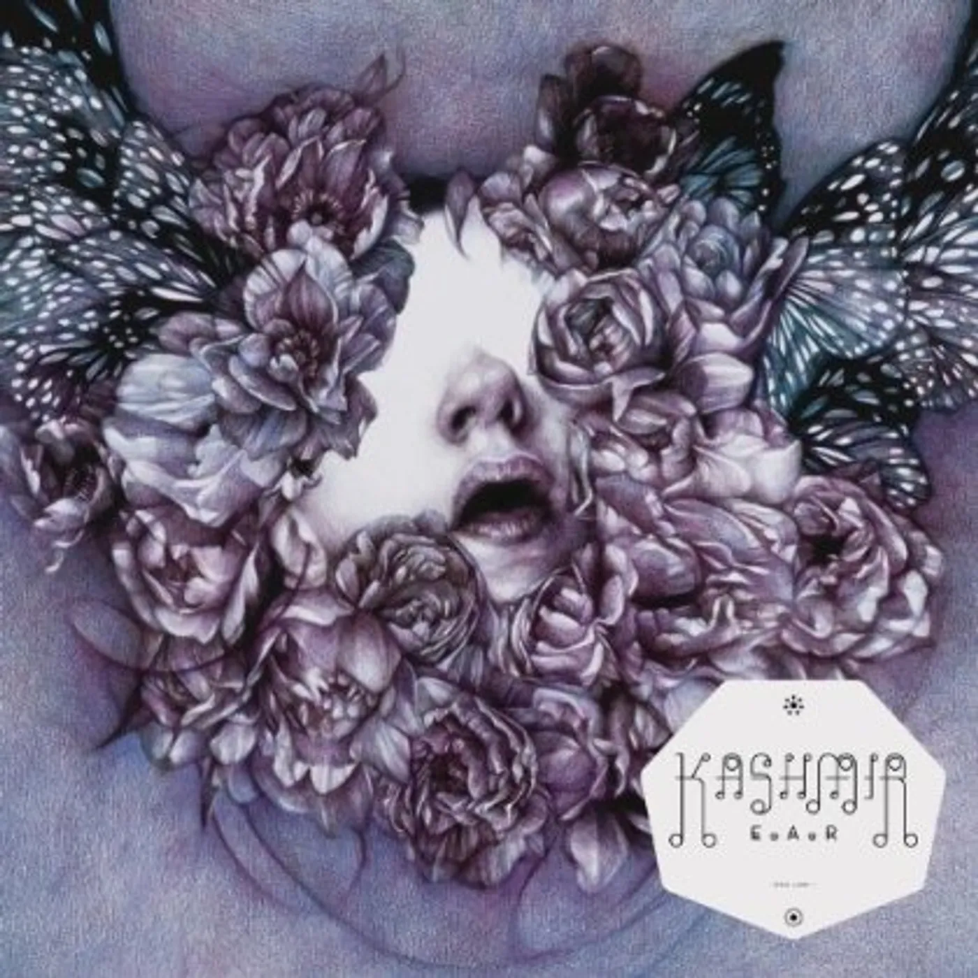 Kashmir E.A.R Vinyl Record - Holland Release