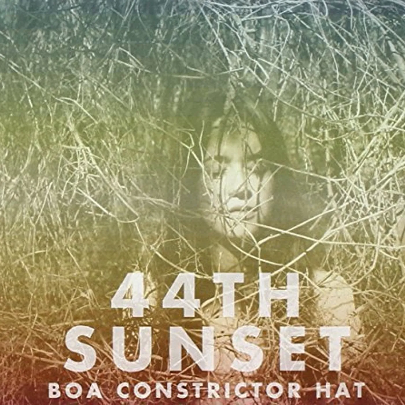 44th Sunset BOA CONSTRICTOR HAT CD