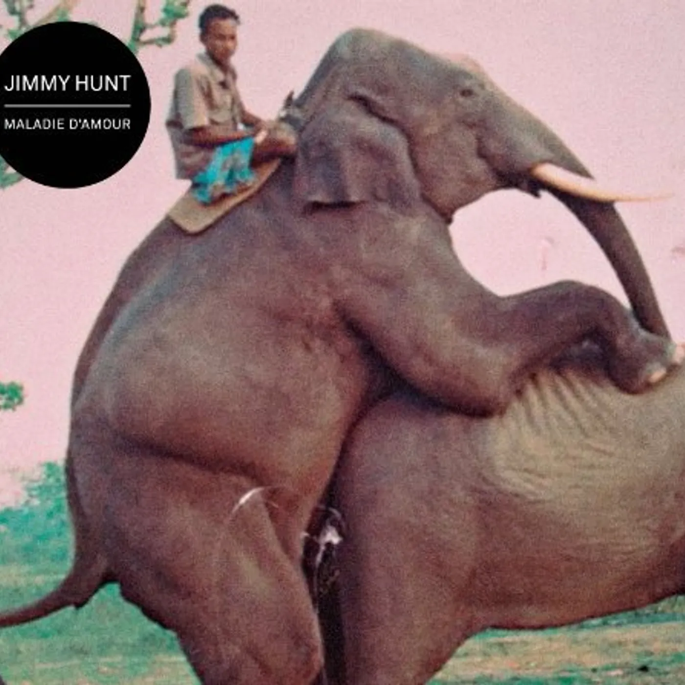 Jimmy Hunt MALADIE D'AMOUR (VINYLE) Vinyl Record