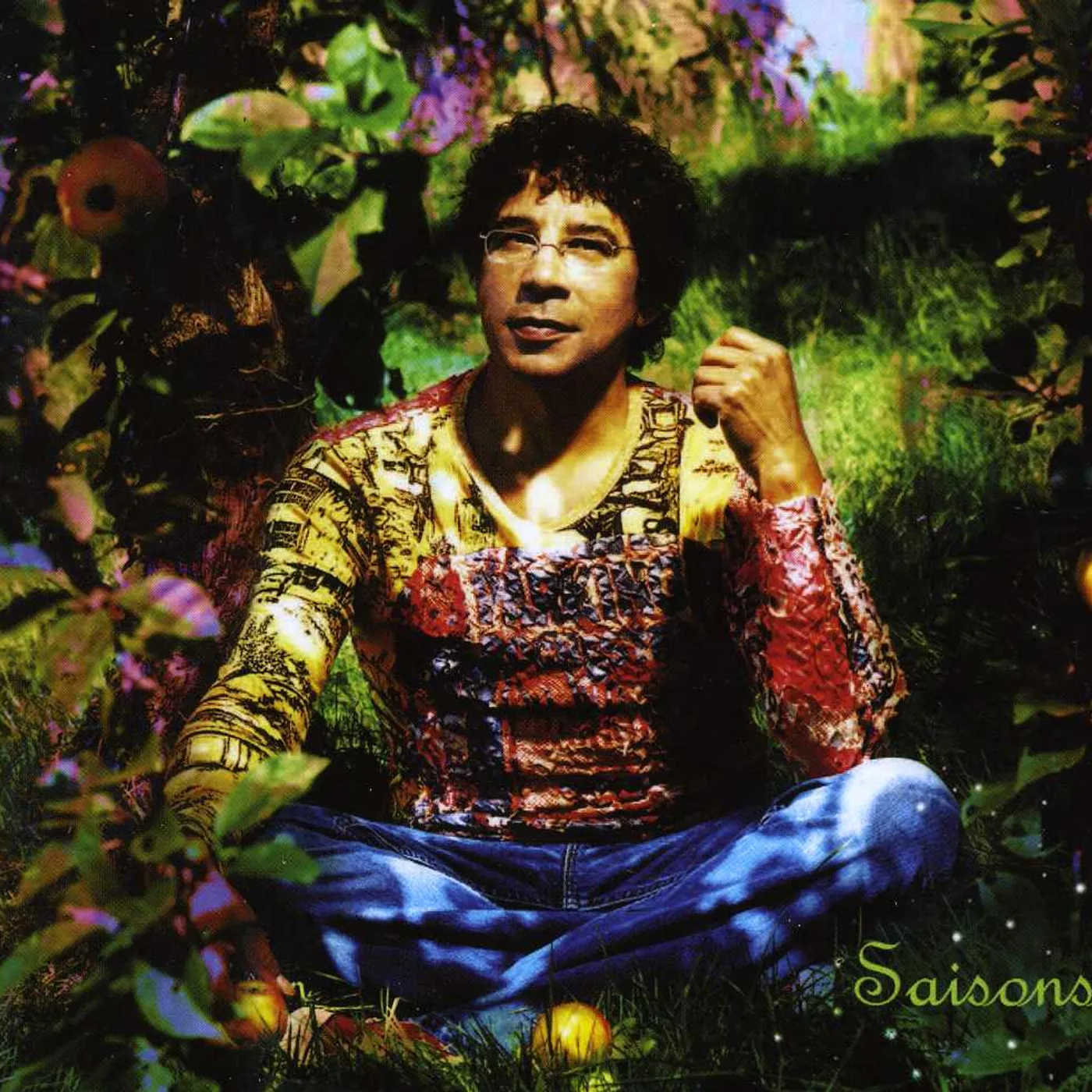 Laurent Voulzy SAISONS LE DOUBLE BEST OF CD