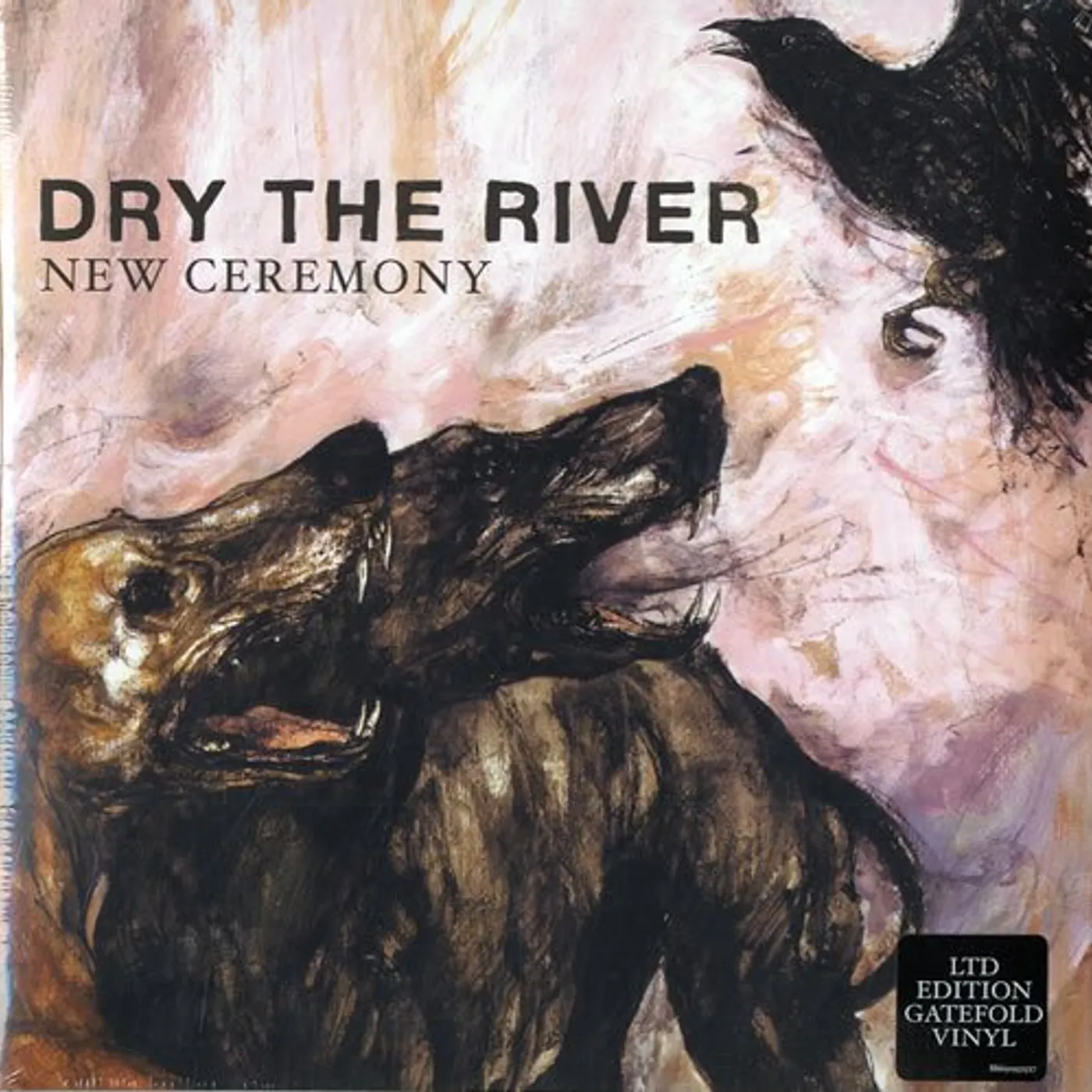 Dry the River NEW CEREMONY Vinyl Record