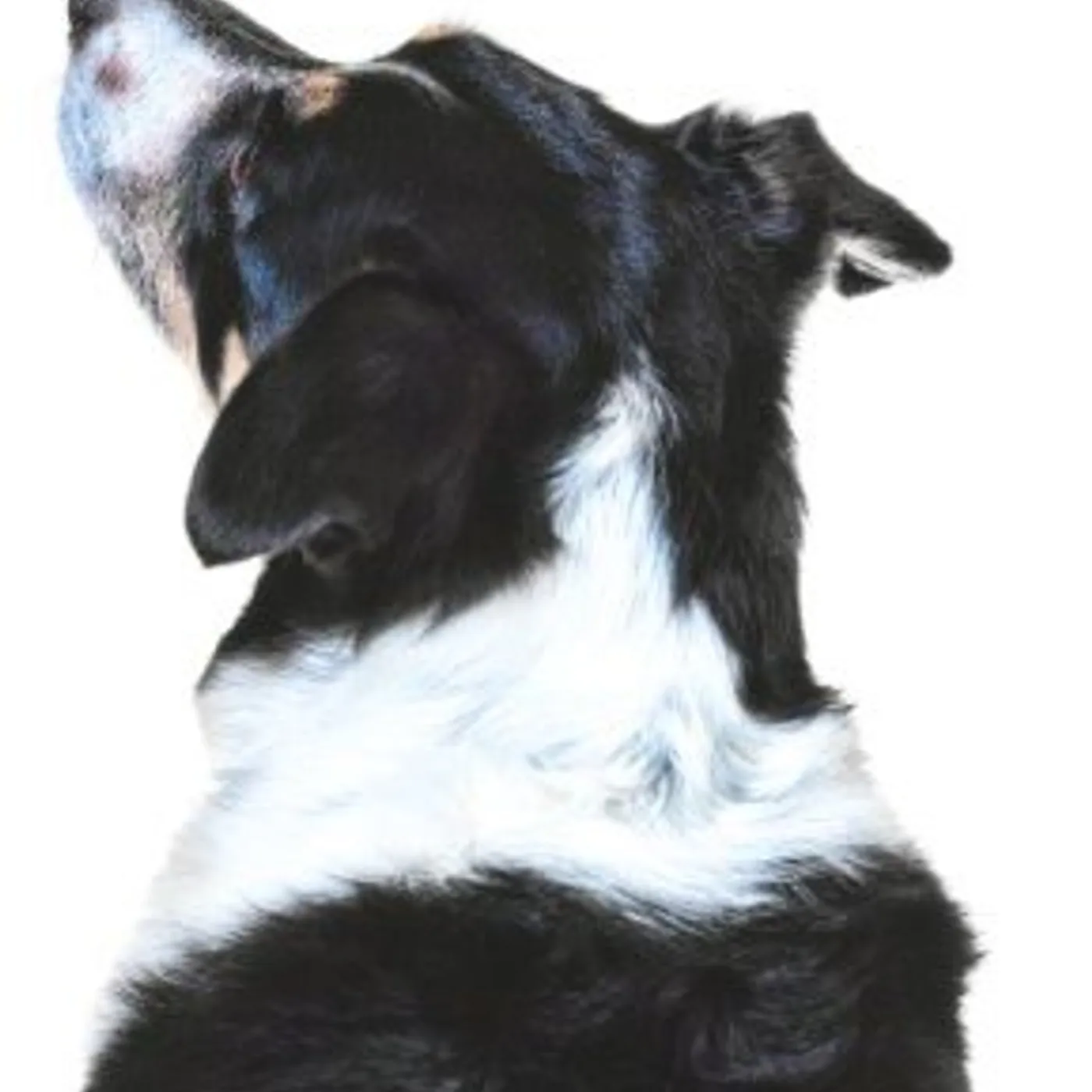 RM Hubbert Breaks & Bone Vinyl Record