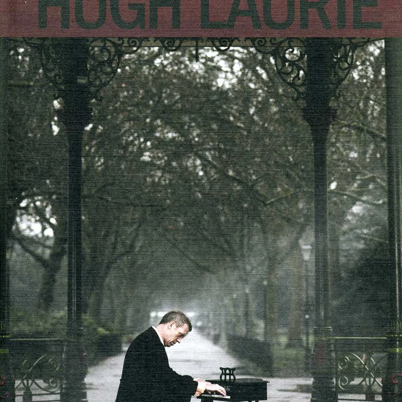 Hugh Laurie DIDN'T IT RAIN: LIMITED DIGIBOOK CD