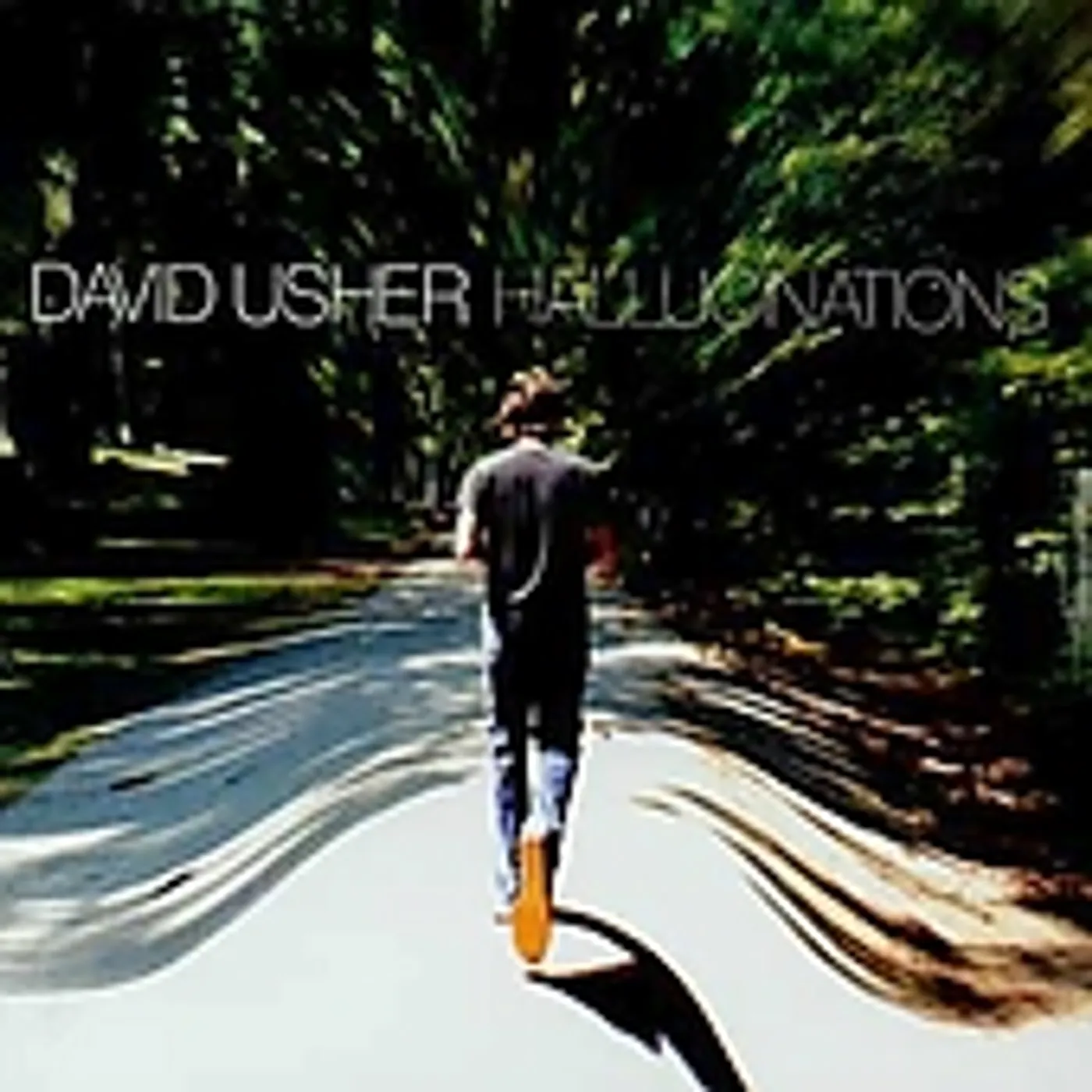 David Usher HALLUCINATIONS CD