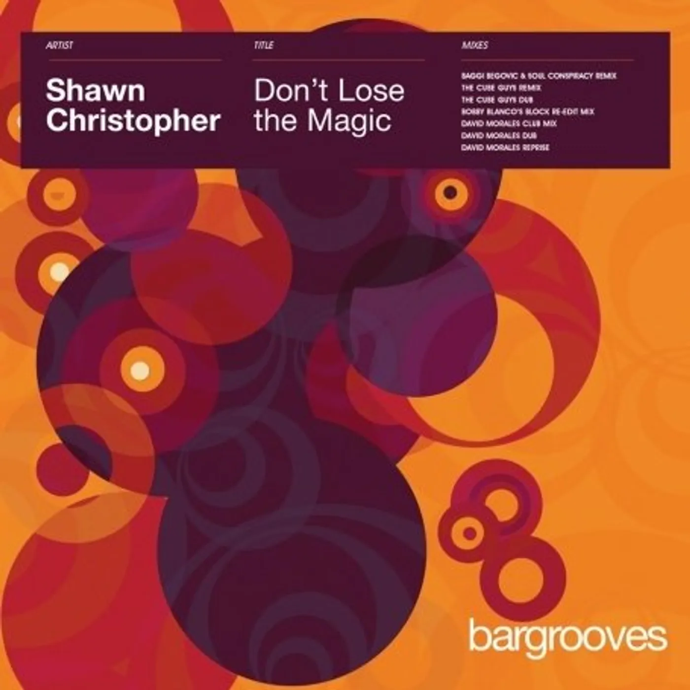 Shawn Christopher Don't Lose The Magic Vinyl Record