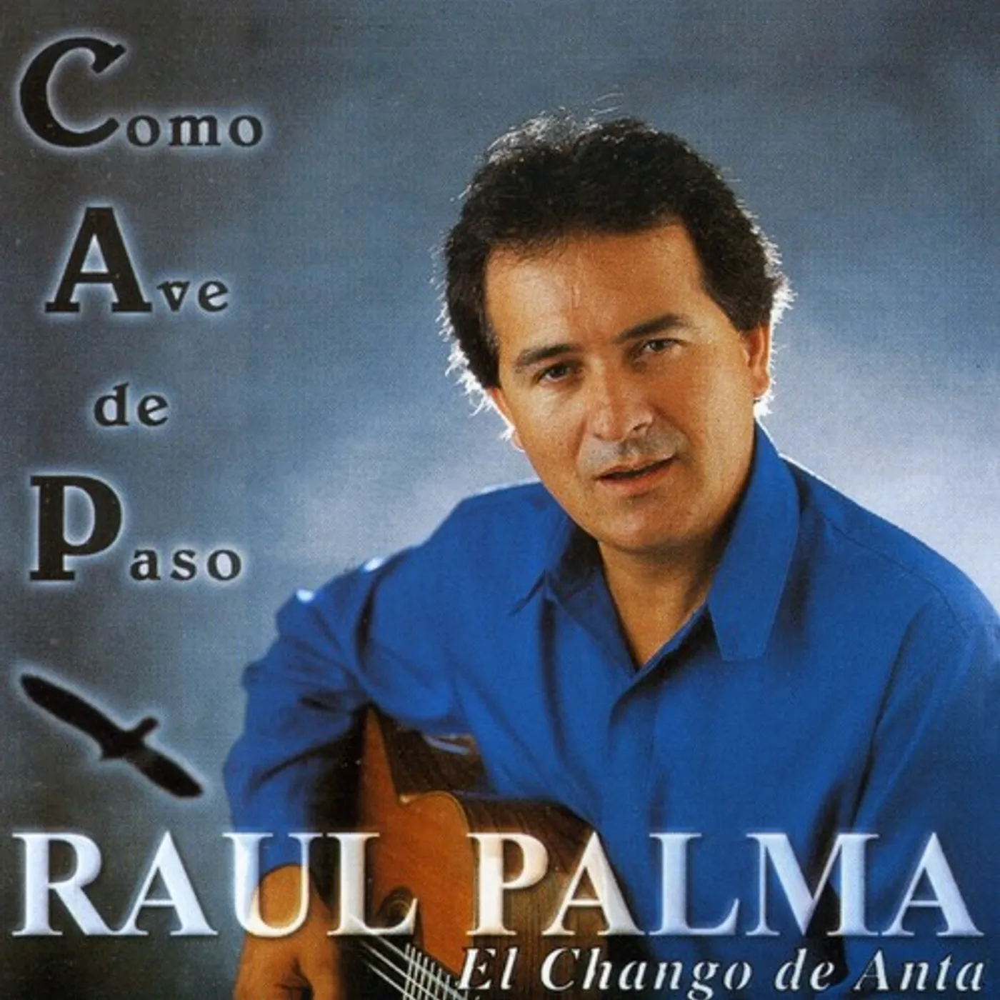 Raul Palma COMO AVE DE PASO CD