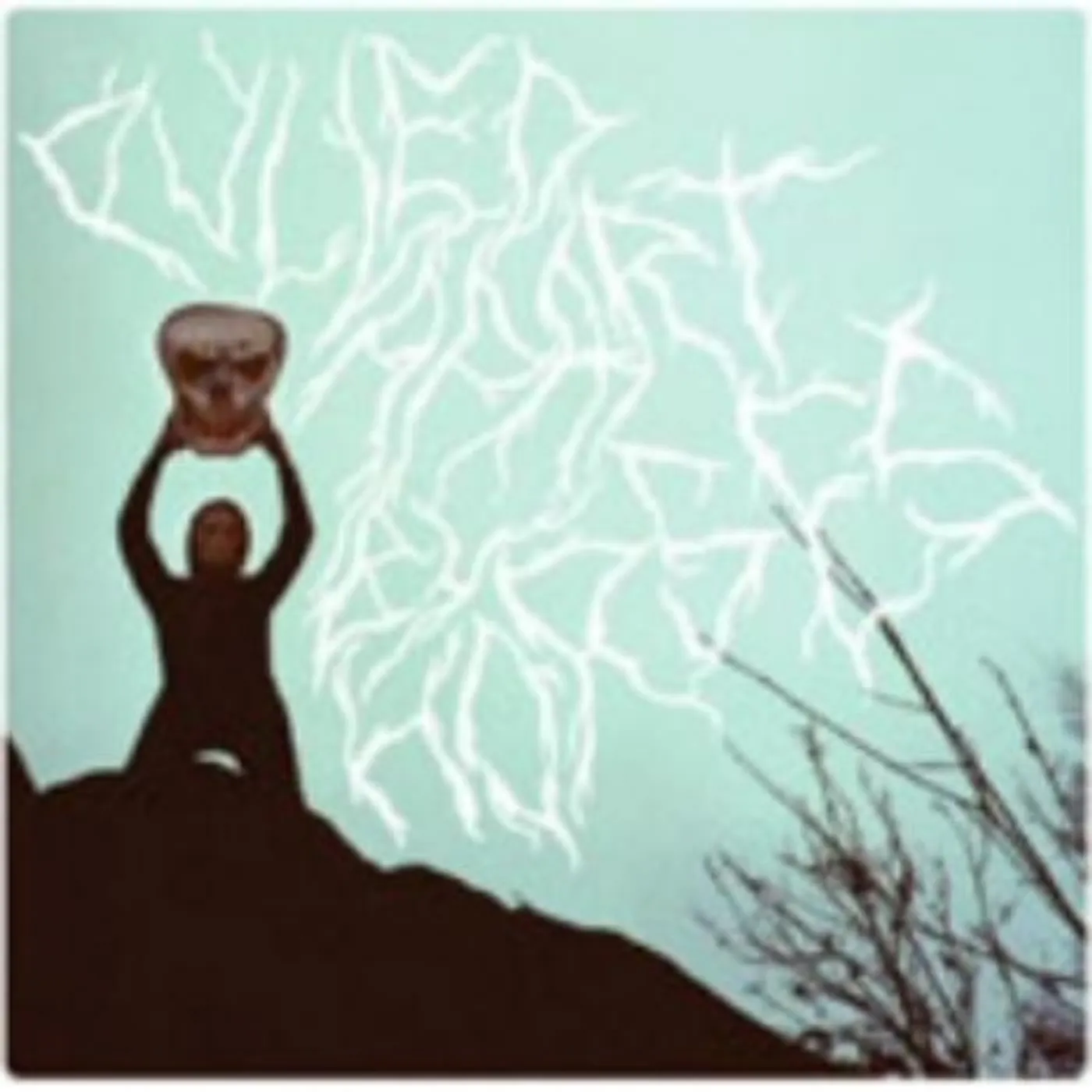 PULLED APART BY HORSES CD