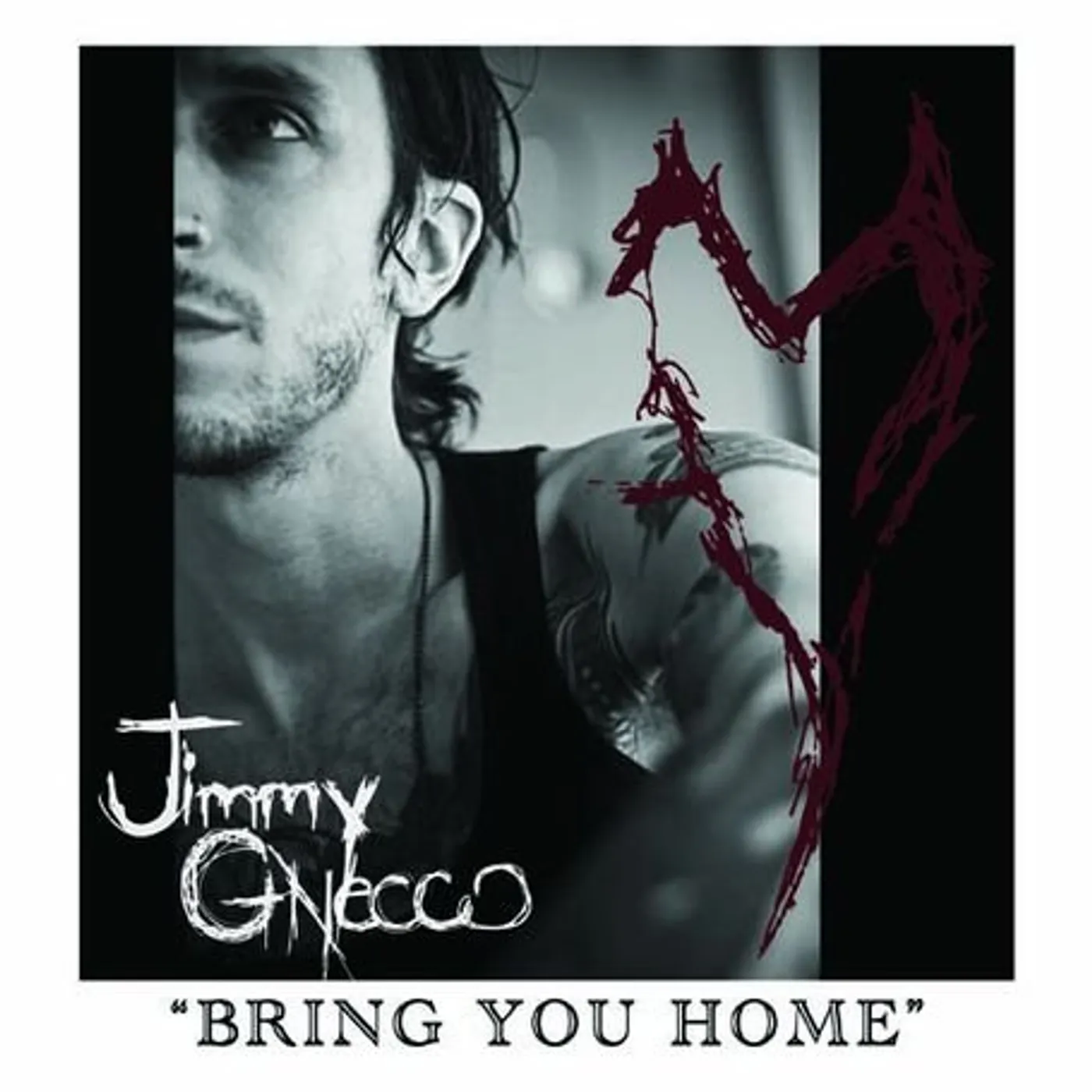 Jimmy Gnecco BRING YOU HOME Vinyl Record